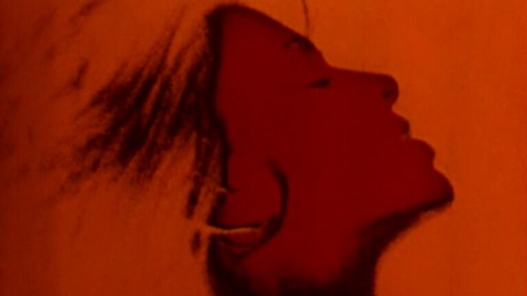 [DERRIÈRE LA PORTE VERTE / BEHIND THE GREEN DOOR] Jim et Artie Mitchell, 1971