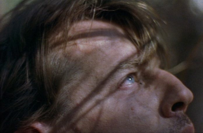 shellac-sombre-image-3271-copyright-shellac