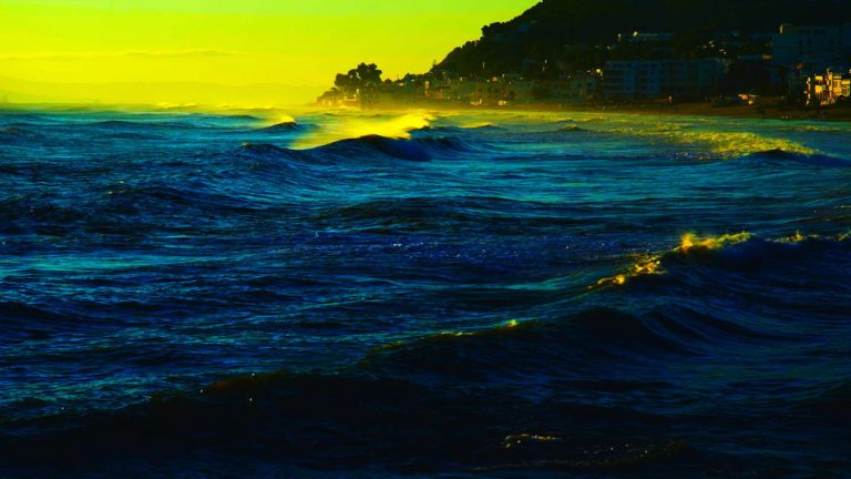 Hommage Jean-Luc Godard : quand Valérie déchiffrait pour Chaos « Le livre d&rsquo;image », son dernier long métrage