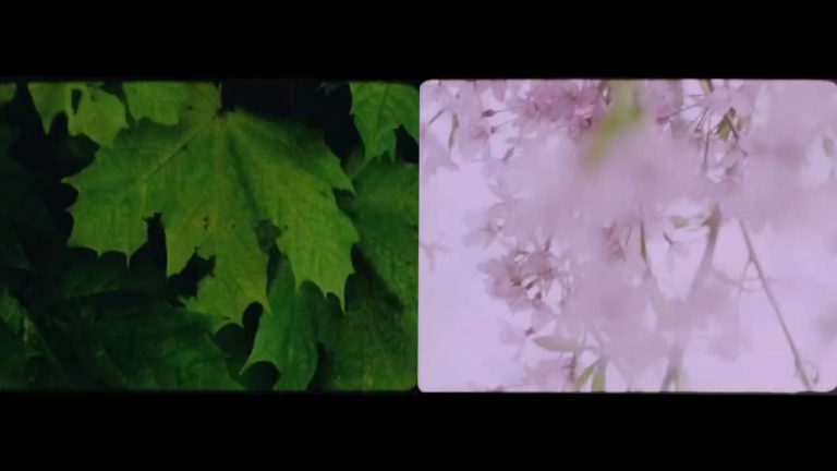 « Autumn Rush for Kurt Kren and Winter and Spring and Summer » (Anna Thew, 2003)