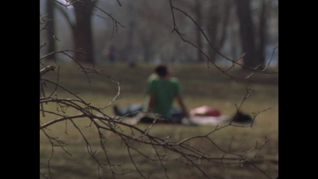 « Statuary » (Robert Todd, 2016)