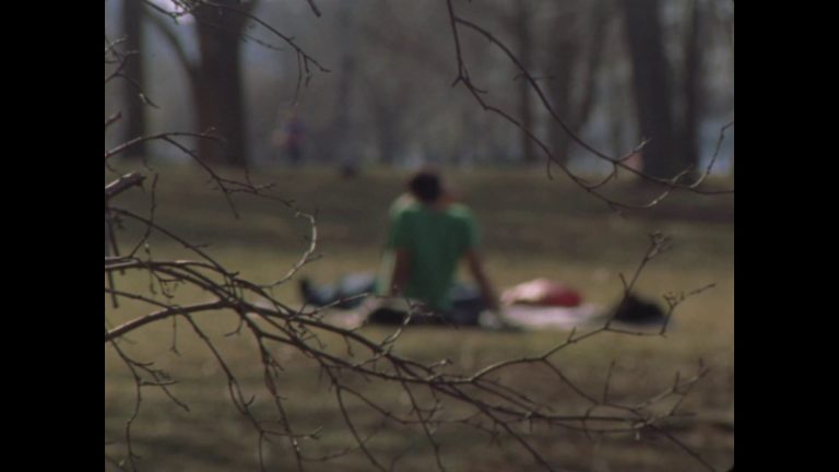 « Statuary » (Robert Todd, 2016)