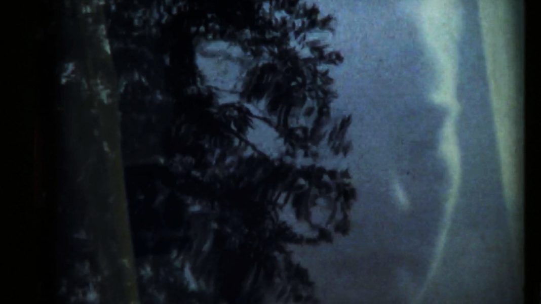 « Liminal Poem » (Susan Deleo, 2019)