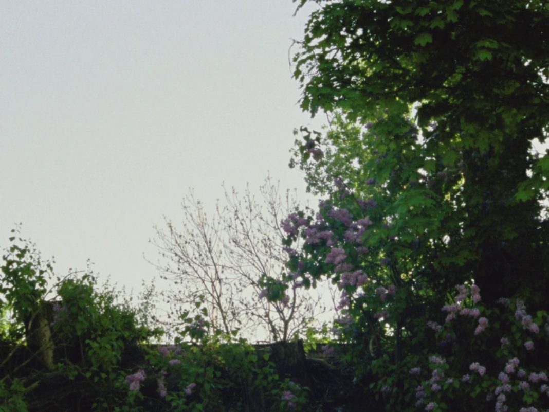 « Ring » (Renato Pérez, 2018)