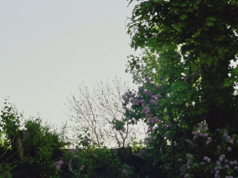 « Ring » (Renato Pérez, 2018)