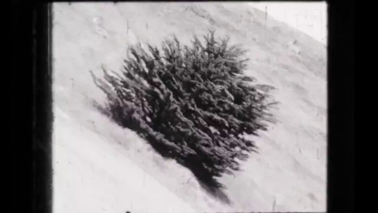 Sketch Film # 5 (Tomonari Nishikawa, 2007)