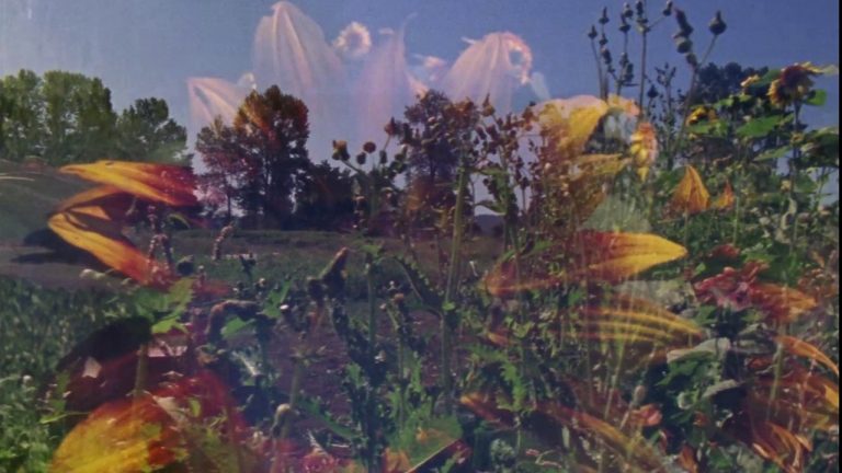 « Trahere » (Caryn Cline & Linda Fenstermaker, 2018)