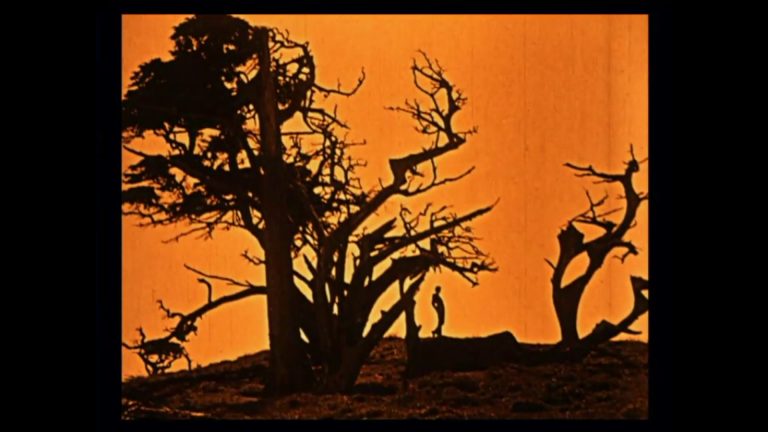 « The Soul of the Cypress » (Dudley Murphy, 1920)