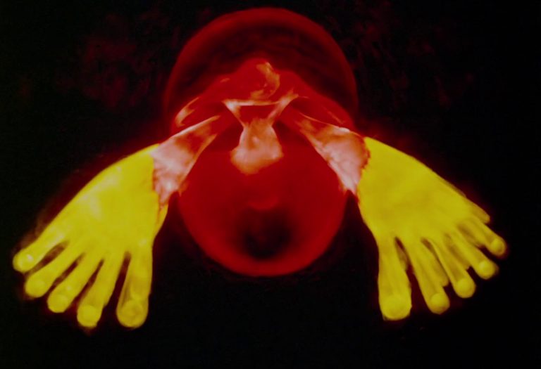 « Afterlife » / « Après la vie » (Ishu Patel, 1978)