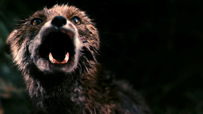 Bertrand Mandico, Yann Gonzalez, Gaspar Noe, Lucile Hadzihalilovic, Arthur Harari, Bertrand Bonello… nous donnent leur Palme Chaos 2021