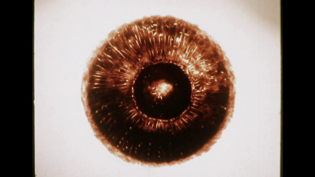 « Suisei » / « Aquatic » (Koji Yamamura, 1987)