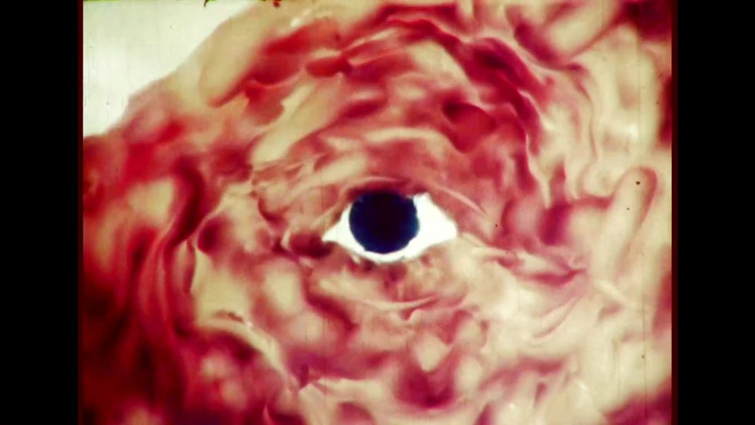 « Hakubutsushi » / « Natural History » / « Histoire naturelle » (Koji Yamamura, 1985)