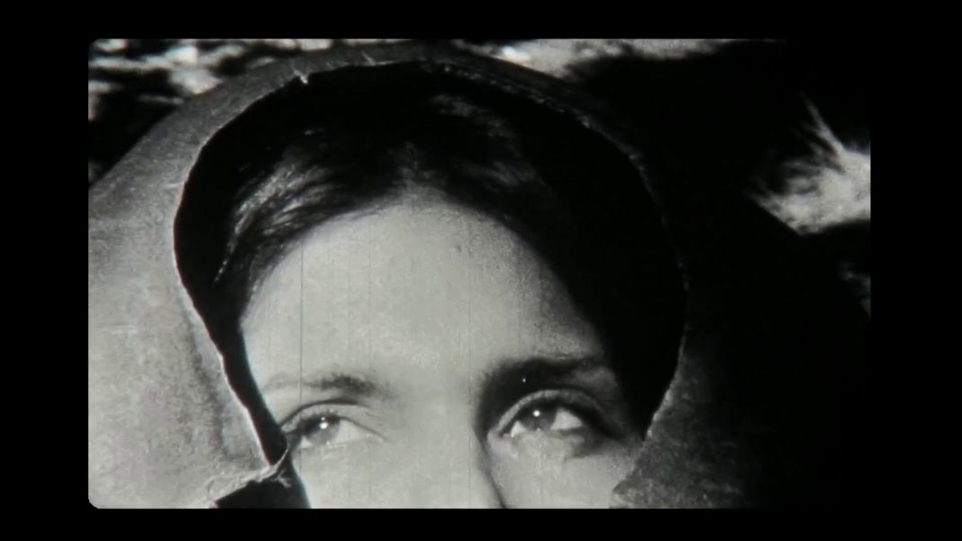 « Natura » (Ernesto Baca, 2015)