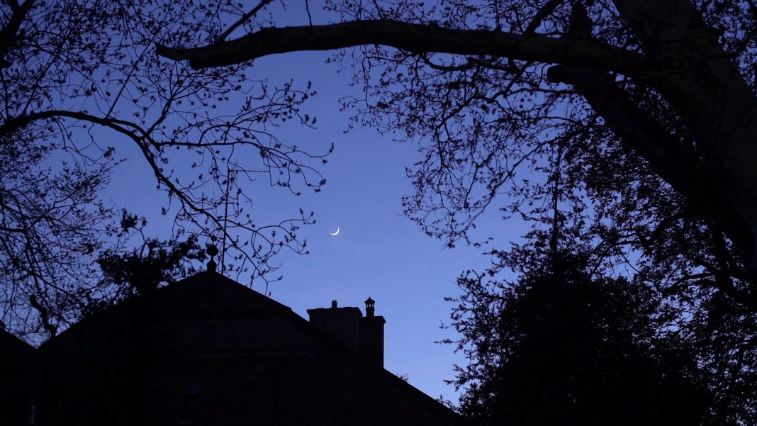 « Hymnes à la nuit » (Pierre Bisson, 2021)