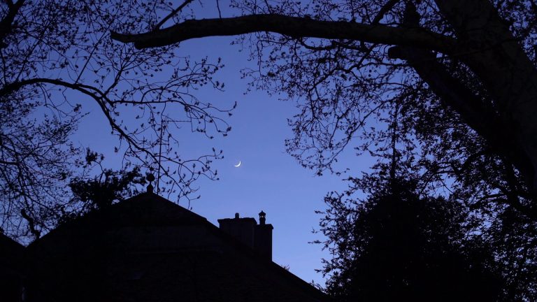 « Hymnes à la nuit » (Pierre Bisson, 2021)