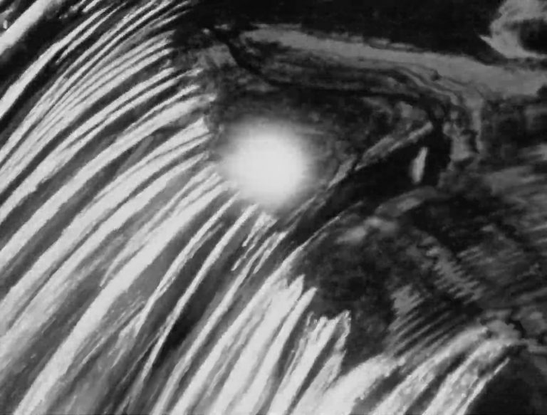 « Look Park » (Ralph Steiner, 1973)
