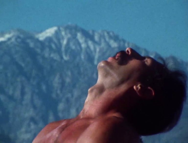 [FORBIDDEN LETTERS] Arthur J. Bressan Jr., 1979