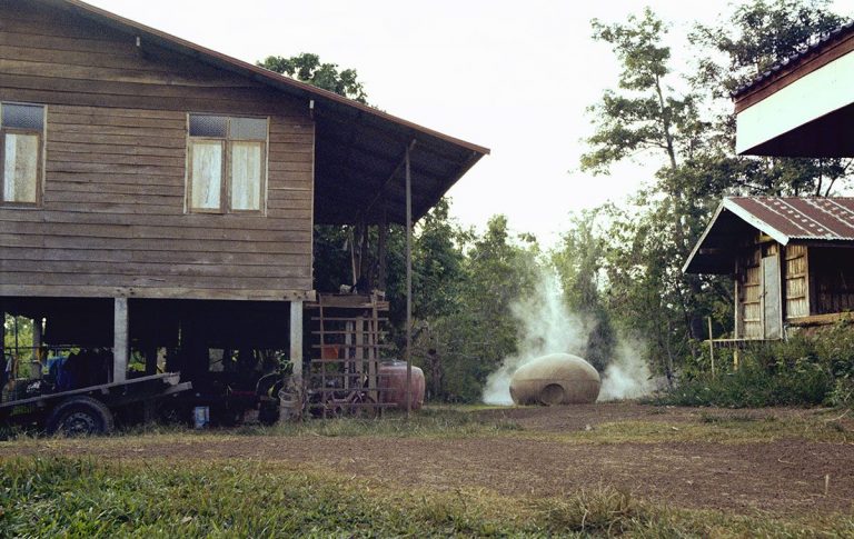 Les beaux courts et moyens métrages d&rsquo;Apichatpong Weerasethakul aux Rencontres Internationales Paris/Berlin