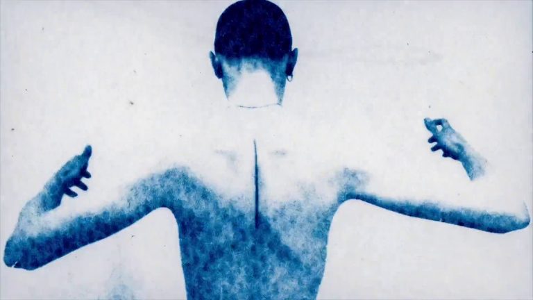 « Birds in the Sixth Mass Extinction » (Edd Carr, 2021)