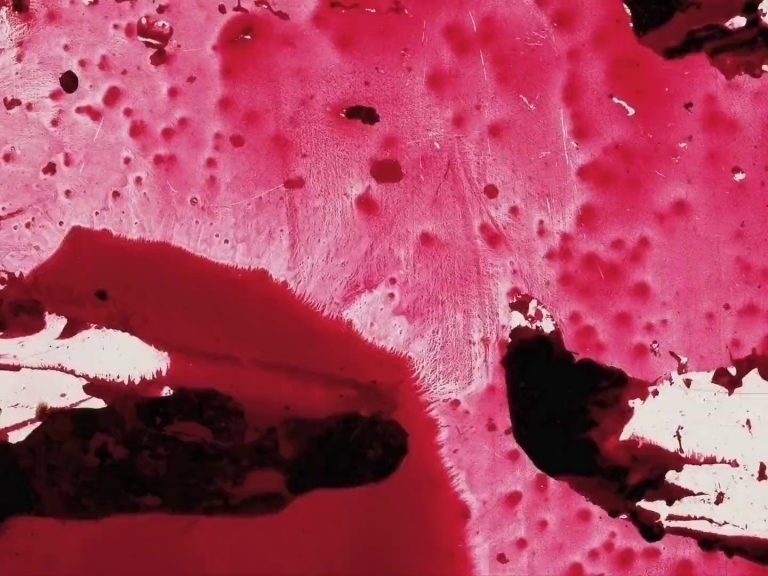 « Primary » (Dan Browne, 2004)