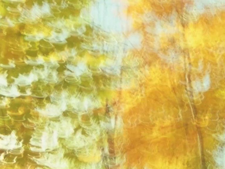 « Seasons: Fall » (Dan Browne, 2016)