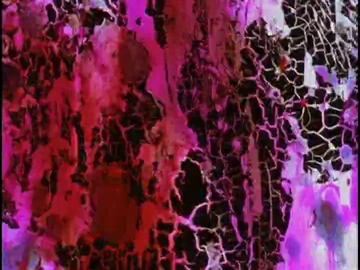 « Stan&rsquo;s Salon » (John Behrens, 1997)