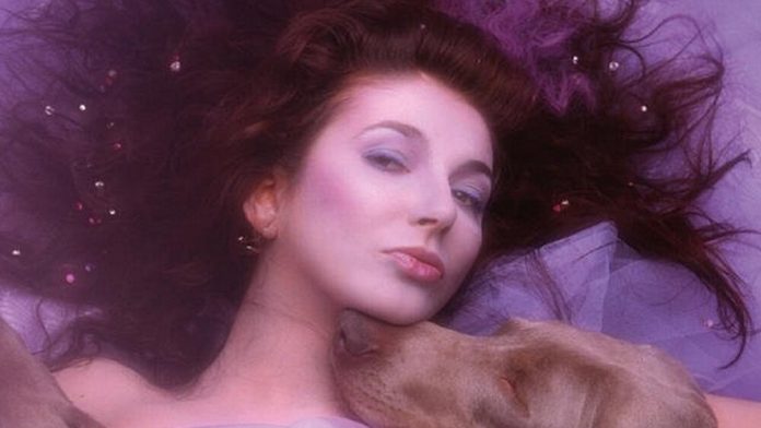 kate bush