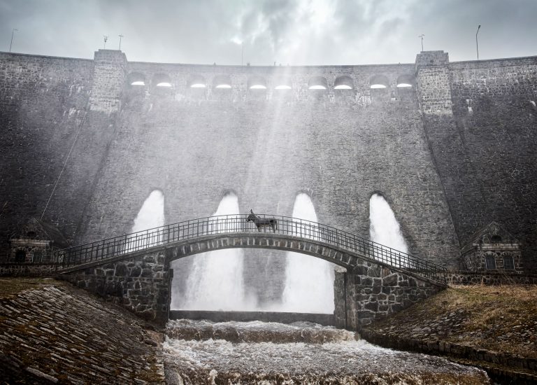 [Star du chaos 2022] Jerzy Skolimowski, réalisateur de « EO » (« Hi-Han »)