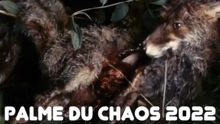 Votez pour votre Palme Chaos 2022