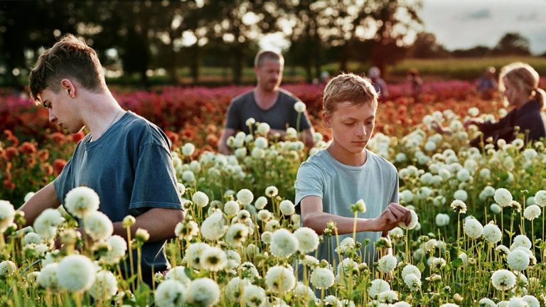 « Close » de Lukas Dhont: du cinéma-cupcake tire-larmes sans saveur ni créativité