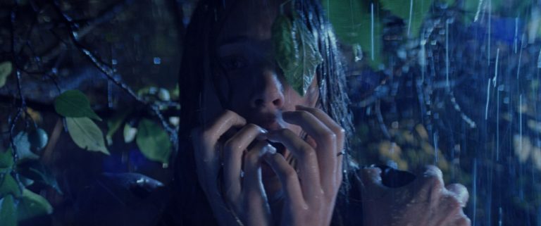 « Trauma » de Dario Argento: derrière l&rsquo;aventure américaine du maître du giallo, un poème d&rsquo;amour fragile et dérangé