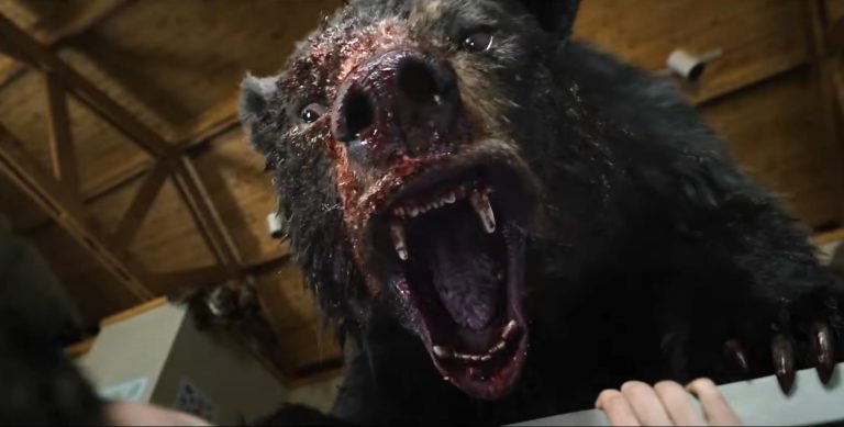 « Crazy Bear »: un film avec un ours défoncé à la cocaïne