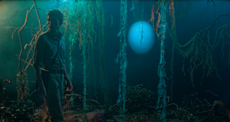 « Blank Narcissus » (« Passion of the swamp »): un remake de « Pink Narcissus » par Peter Strickland