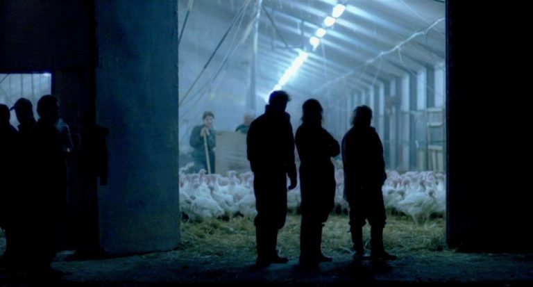Interview : Sébastien Jaudeau (« La Part Animale »)
