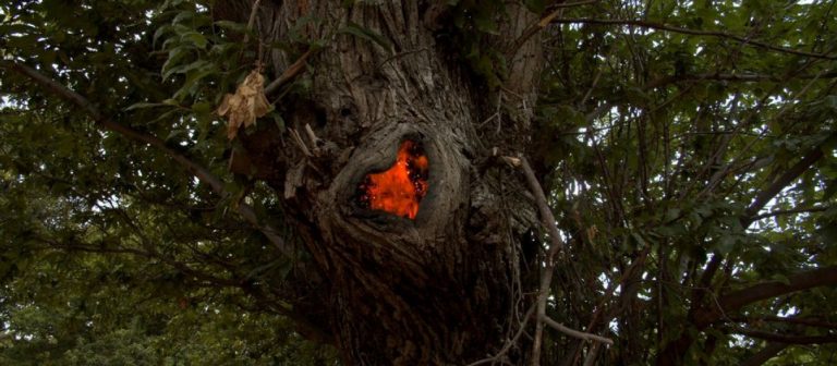 « Il faut regarder le feu ou brûler dedans » de Caroline Poggi et Jonathan Vinel: l&rsquo;art est comme l&rsquo;incendie, il naît de ce qu&rsquo;il brûle
