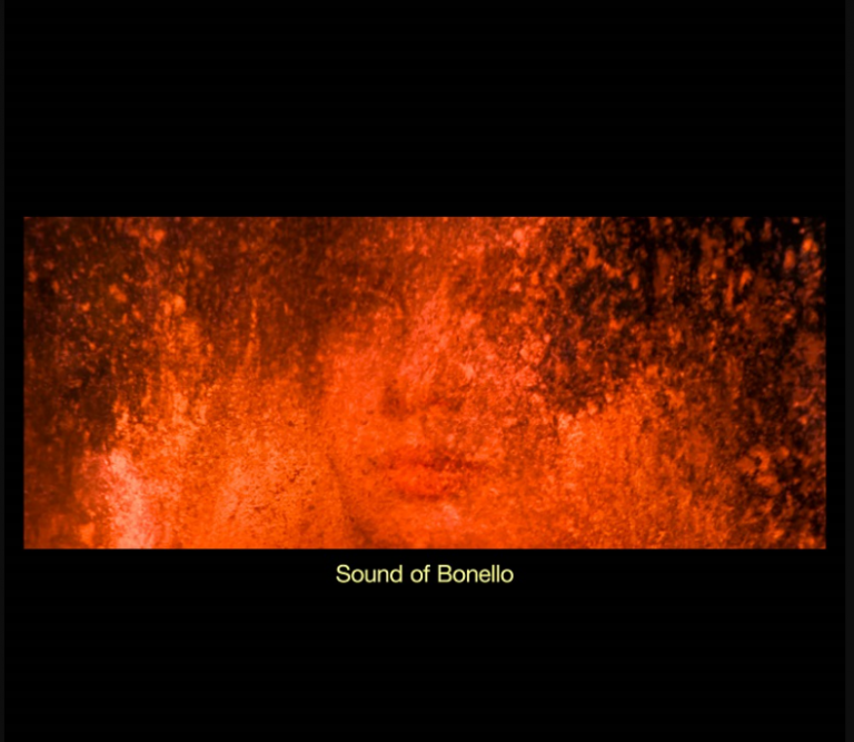 « Sound of Bonello »: écoutez tout le cinéma de Bertrand Bonello en musique