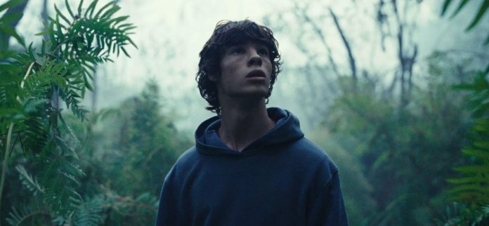 Le-regne-animal-Cailley-Cannes-1450x800-c