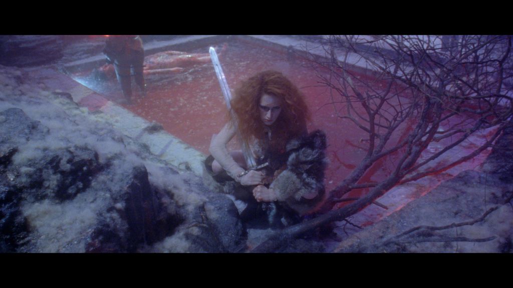 Rainer, a Vicious Dog in Skull Valley de Bertrand Mandico