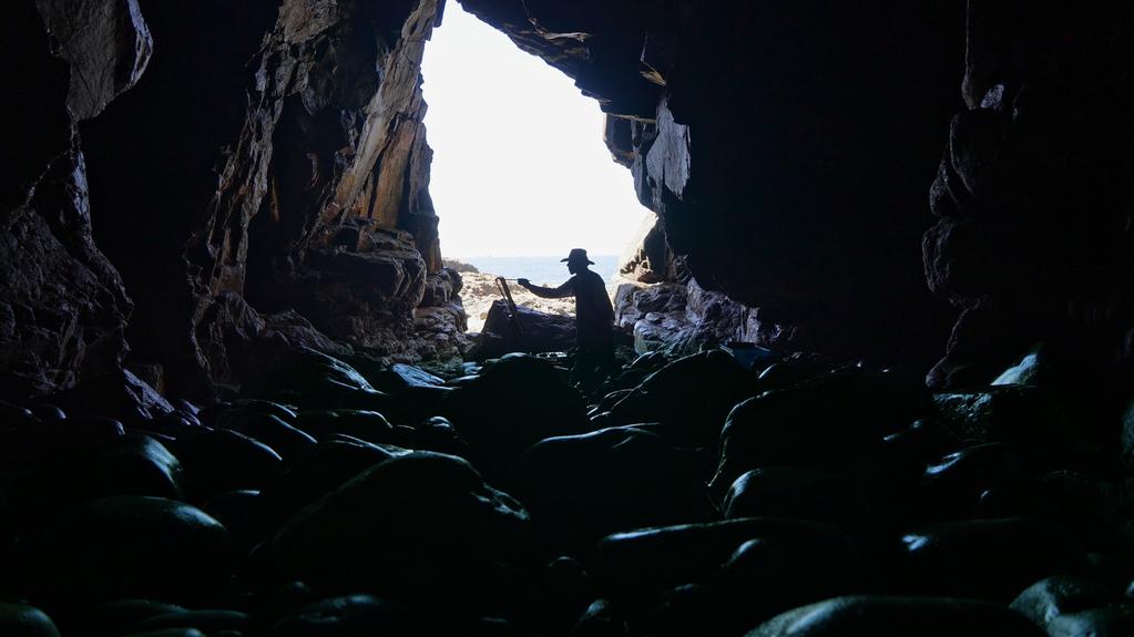 Ricardo et la Peinture de Barbet Schroeder