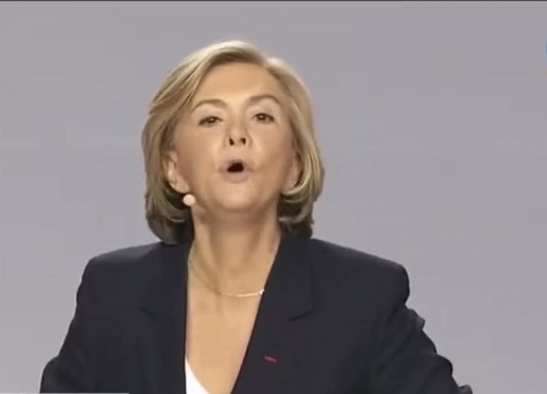 Debouuuut pour « Le règne animal et son million de spectateurs heureux »