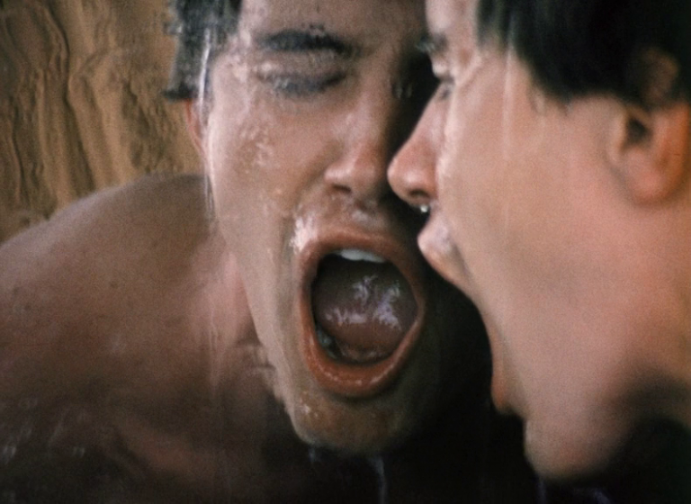 [SEXTOOL] Fred Halsted, 1975