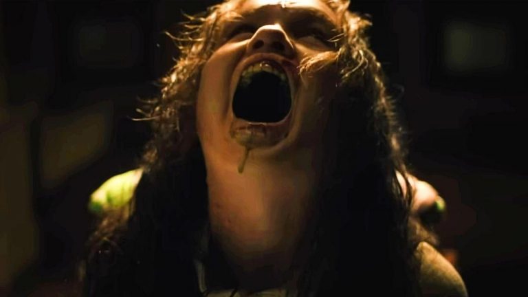 Mais calme-toi, chewie