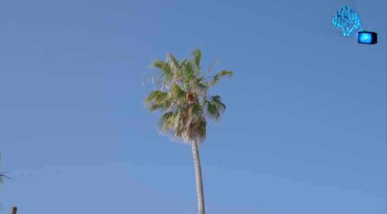 [CHAOSTV À CANNES 2024] Yoko Yamanaka par Pascal-Alex Vincent, Alexis Langlois, red carpet et clubbing