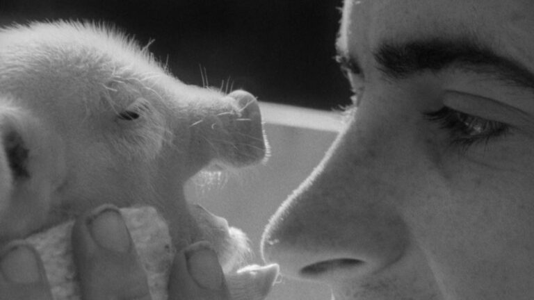 [VASE DE NOCES] Thierry Zeno, 1974