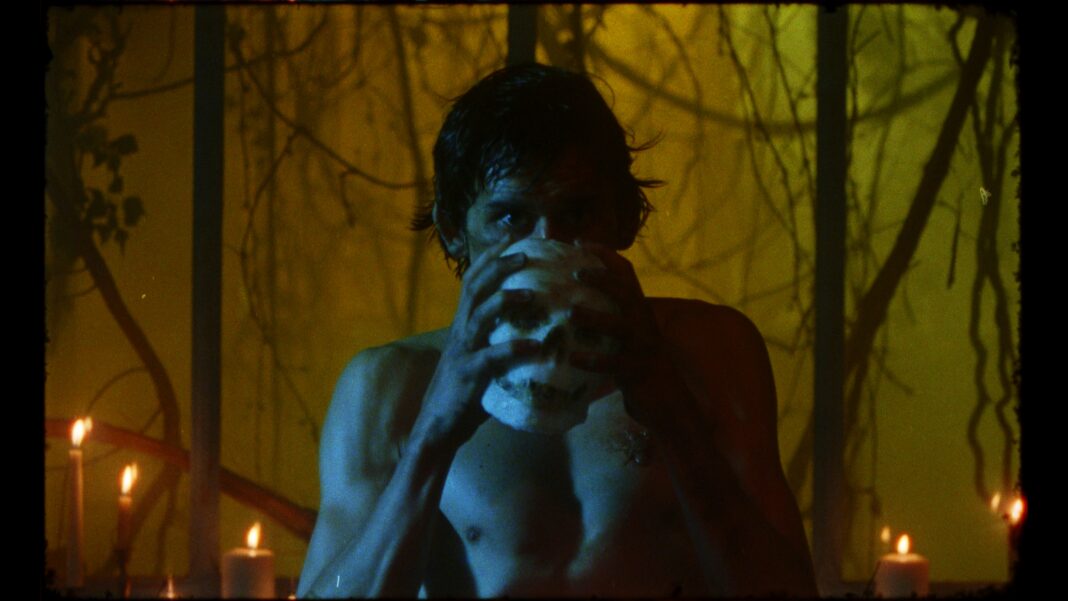 Venez découvrir le monde du réalisateur Mathieu Morel en hurlant « Anapidae »!