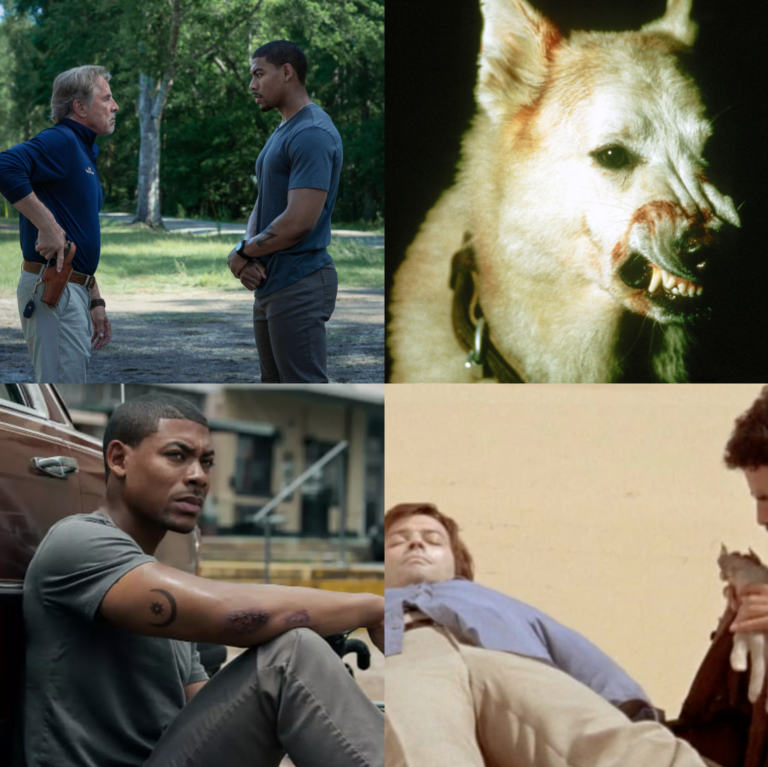 « Rebel Ridge », « Dressé pour tuer », « J&rsquo;irai comme un cheval fou »… La sélection du vendredi