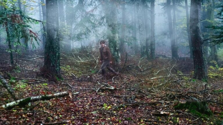 Tableau des étoiles 10/24: « Miséricorde » de Alain Guiraudie, film du mois