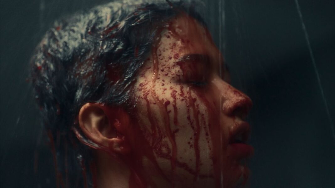 « Sayara » de Can Evrenol à L’Etrange Festival 2024: entre film de vengeance et arts martiaux, entre bis et Z