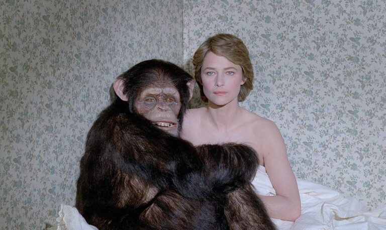 « Max mon amour », « Phenomena », « Link »… 5 films avec des singes à voir avec « The Monkey »