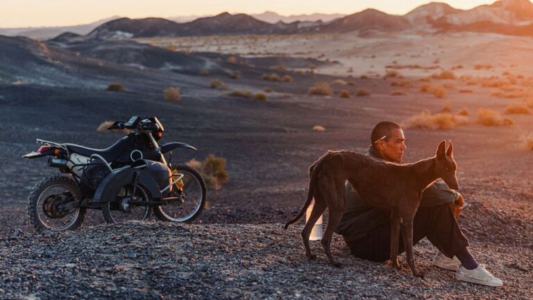 « Black Dog » de Hu Guan : film intense et attachant au traitement sensoriel et aux images puissantes